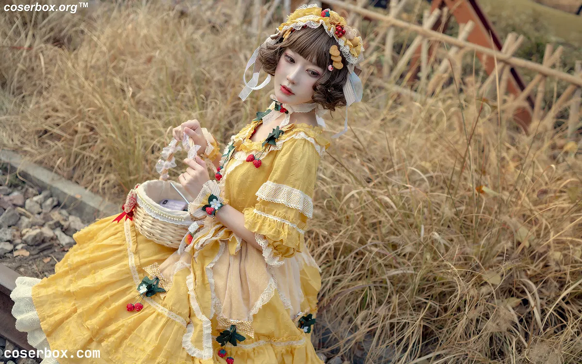 阿包也是兔娘 NO.007 lolita黄裙 - 1