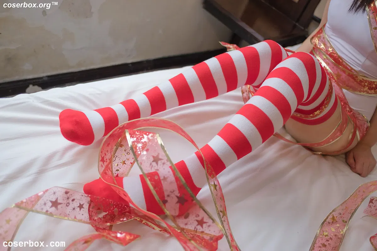 阿诺不是施瓦辛戈 NO.008 烧饼 圣诞 - 2