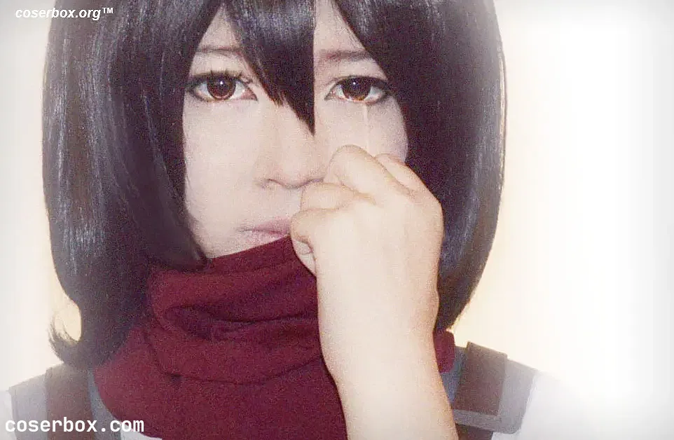 半半子 NO.031 三笠·阿克曼 - 1