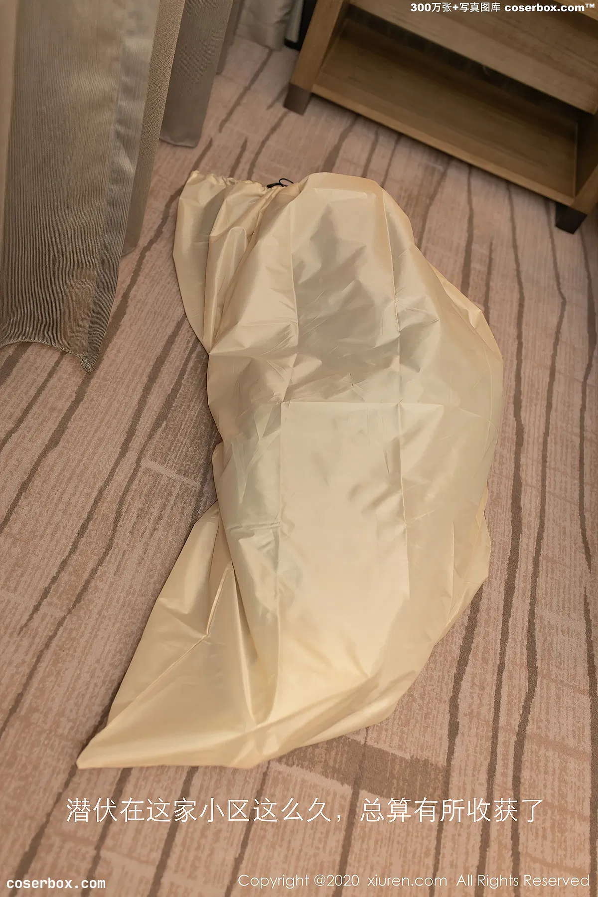 [XIUREN秀人网] 2020.10.29 VOL.2716 鱼子酱FISH[48P-537MB] - 1