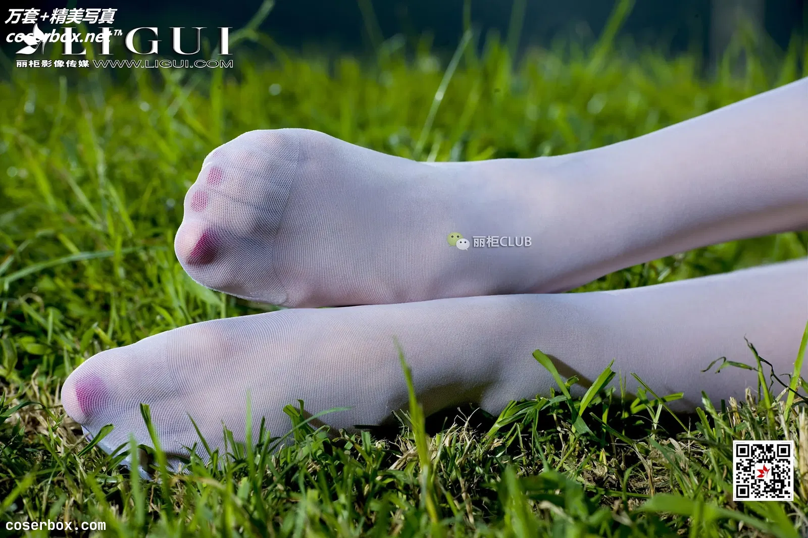 [Ligui丽柜] 2018.01.29 NO.150 网络丽人 Model 雪儿 [81P]