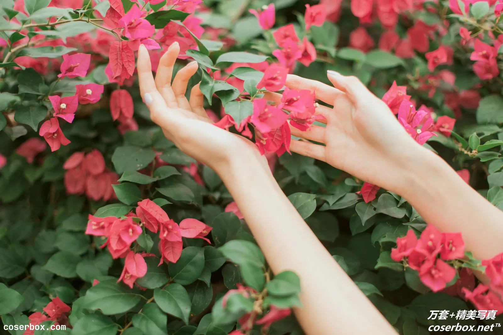 [YITUYU艺图语] 2021.09.29 NO.297 花开的季节 航子 [39P-482MB]