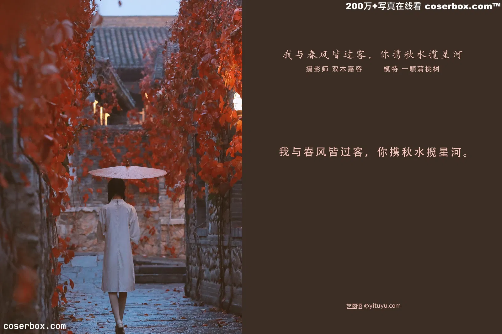 [YITUYU艺图语] 2022.03.17 NO.886 我与春风皆过客，你携秋水揽星河 一颗蒲桃树 [30P-215MB]