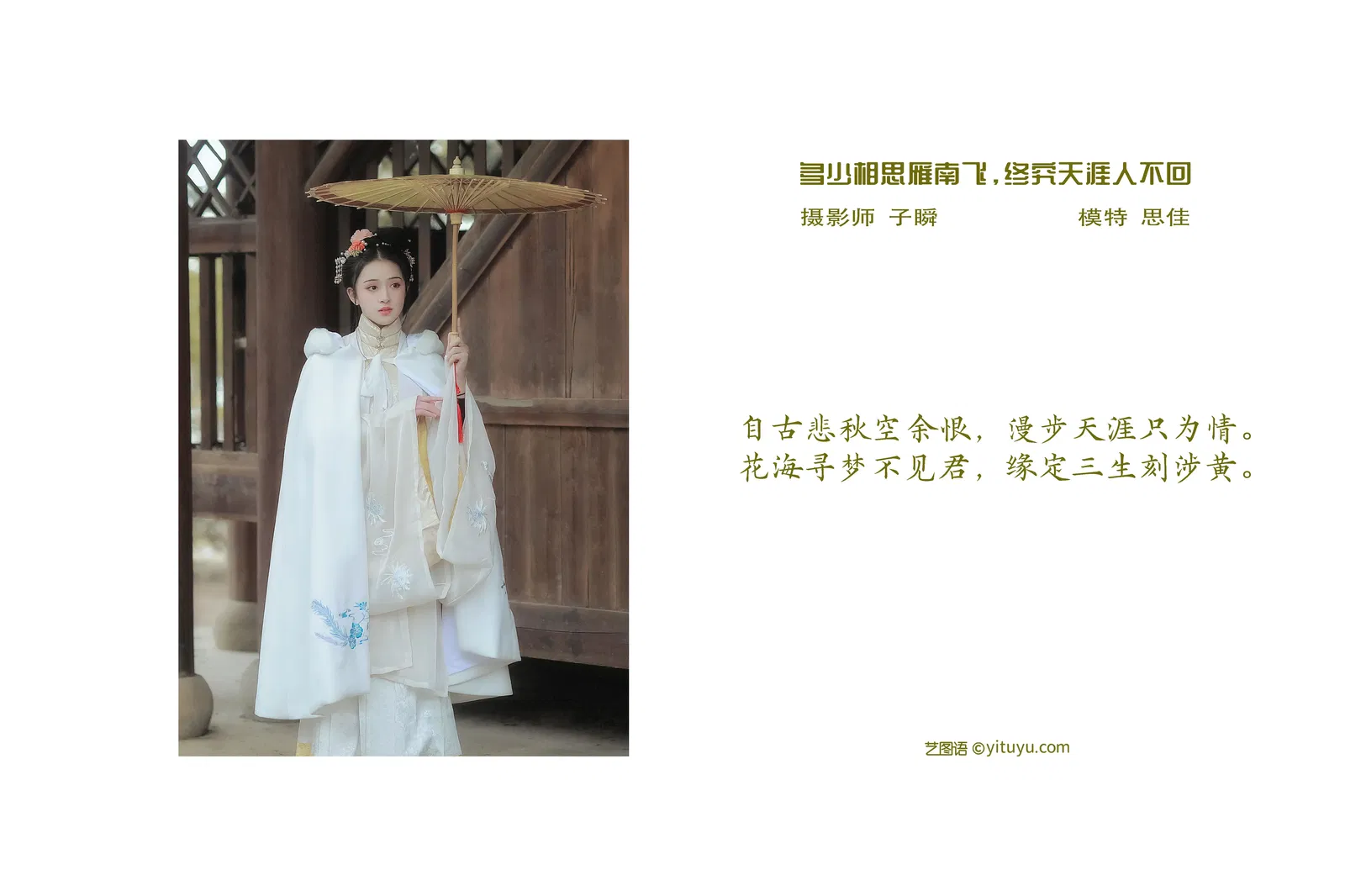 [YITUYU艺图语] 2022.03.30 NO.944 多少相思雁南飞，终究天涯人不回 思佳 [23P-541MB]