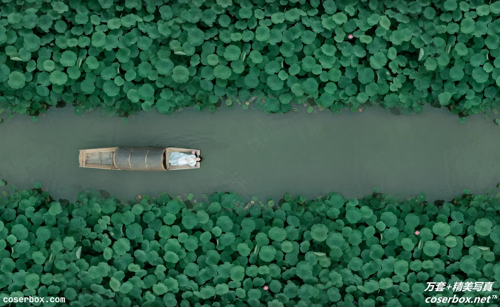 [YITUYU艺图语] 2022.03.05 NO.824 青莲 知予北 [24P-265MB]