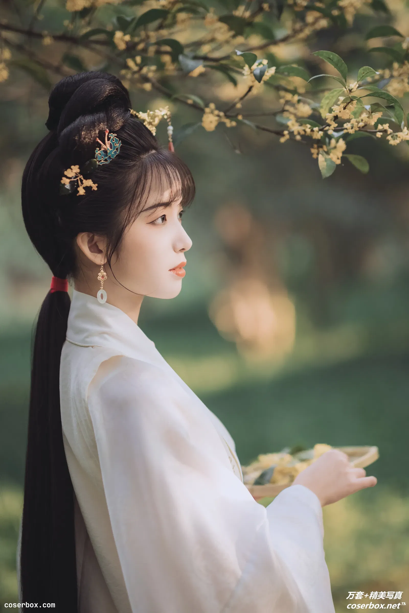 [YITUYU艺图语] 2021.11.22 NO.419 桂花酿 一只阿梦崽 [35P-307MB]