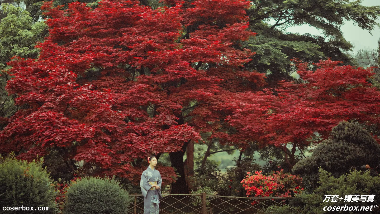 [YITUYU艺图语] 2021.09.02 NO.214 红叶深处 没烦恼 [28P-499MB]