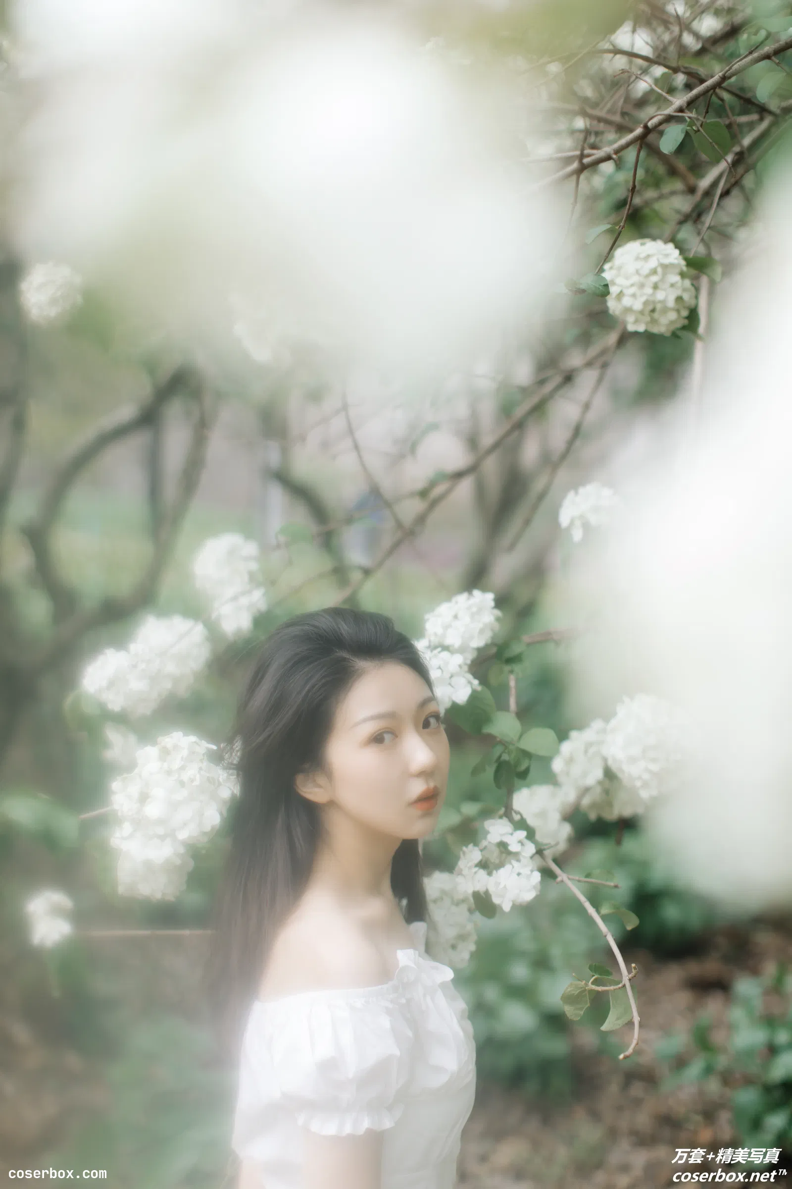 [YITUYU艺图语] 2021.12.31 NO.516 绣球花开 小tom [21P-271MB]