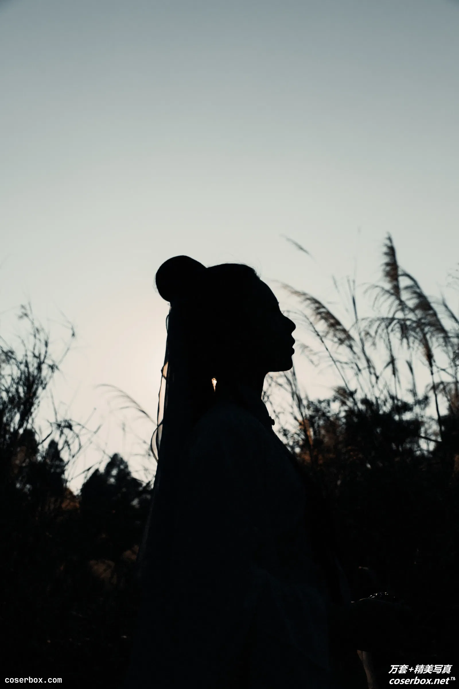 [YITUYU艺图语] 2021.09.06 NO.250 忘尘 杍愉 [27P-359MB]