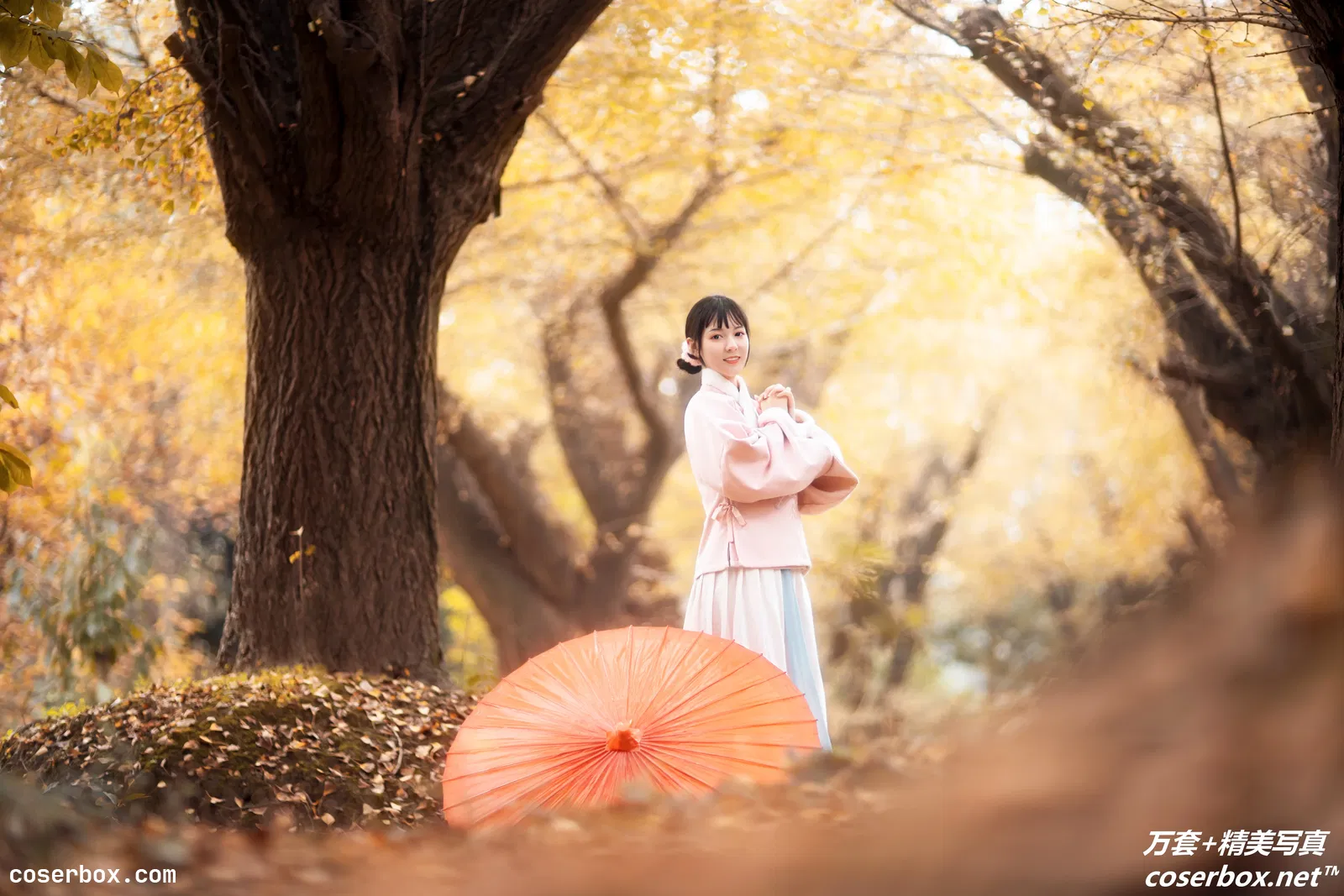 [YITUYU艺图语] 2021.12.18 NO.455 杏仙歌 李太白 [31P-614MB]