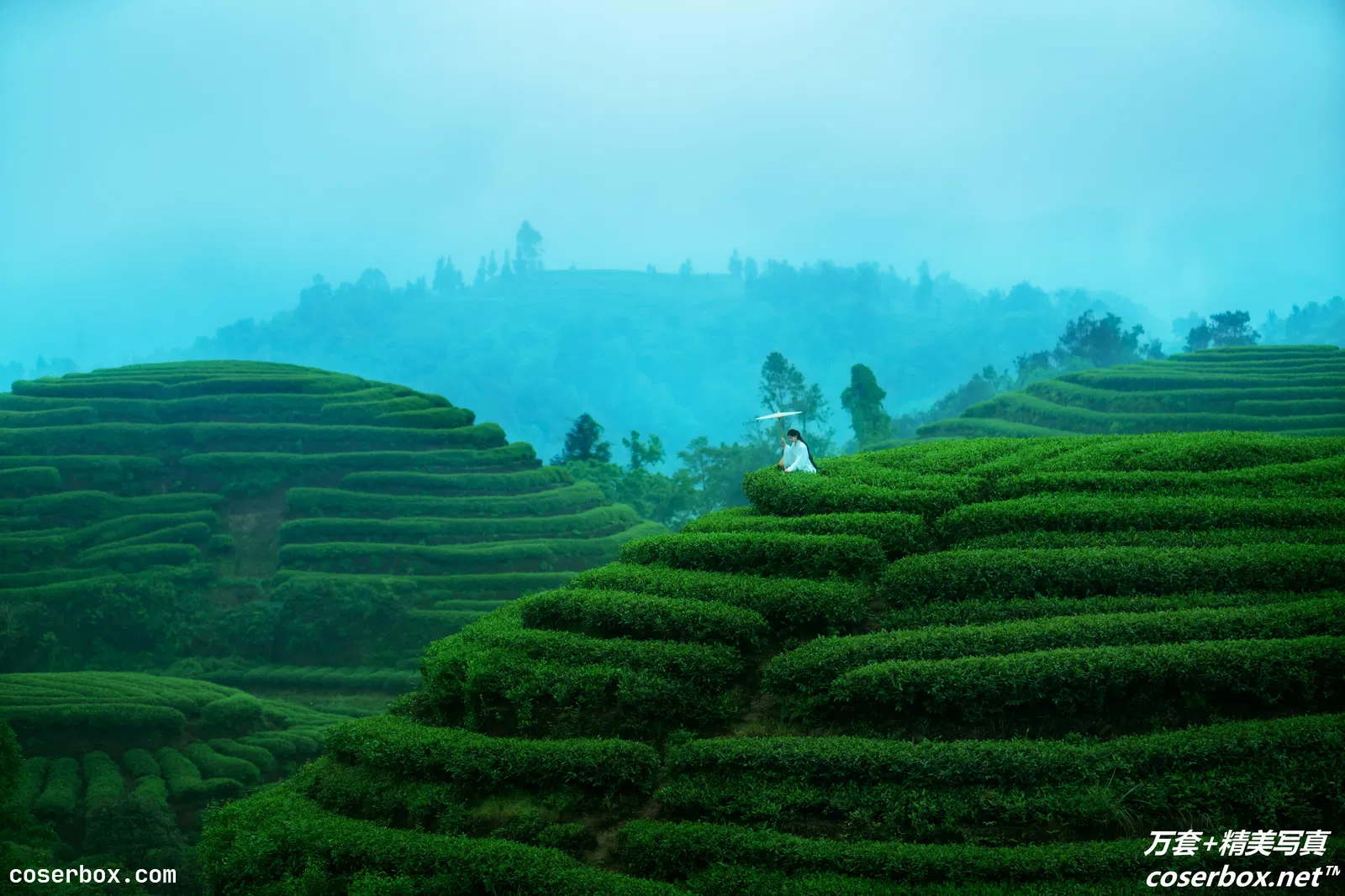 [YITUYU艺图语] 2021.12.24 NO.478 空山灵雨 初茶 [26P-433MB]