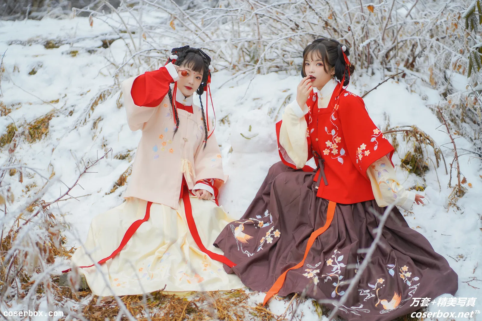 [YITUYU艺图语] 2021.09.04 NO.245 雪中少女 赵瑞洁_ez [21P-601MB]