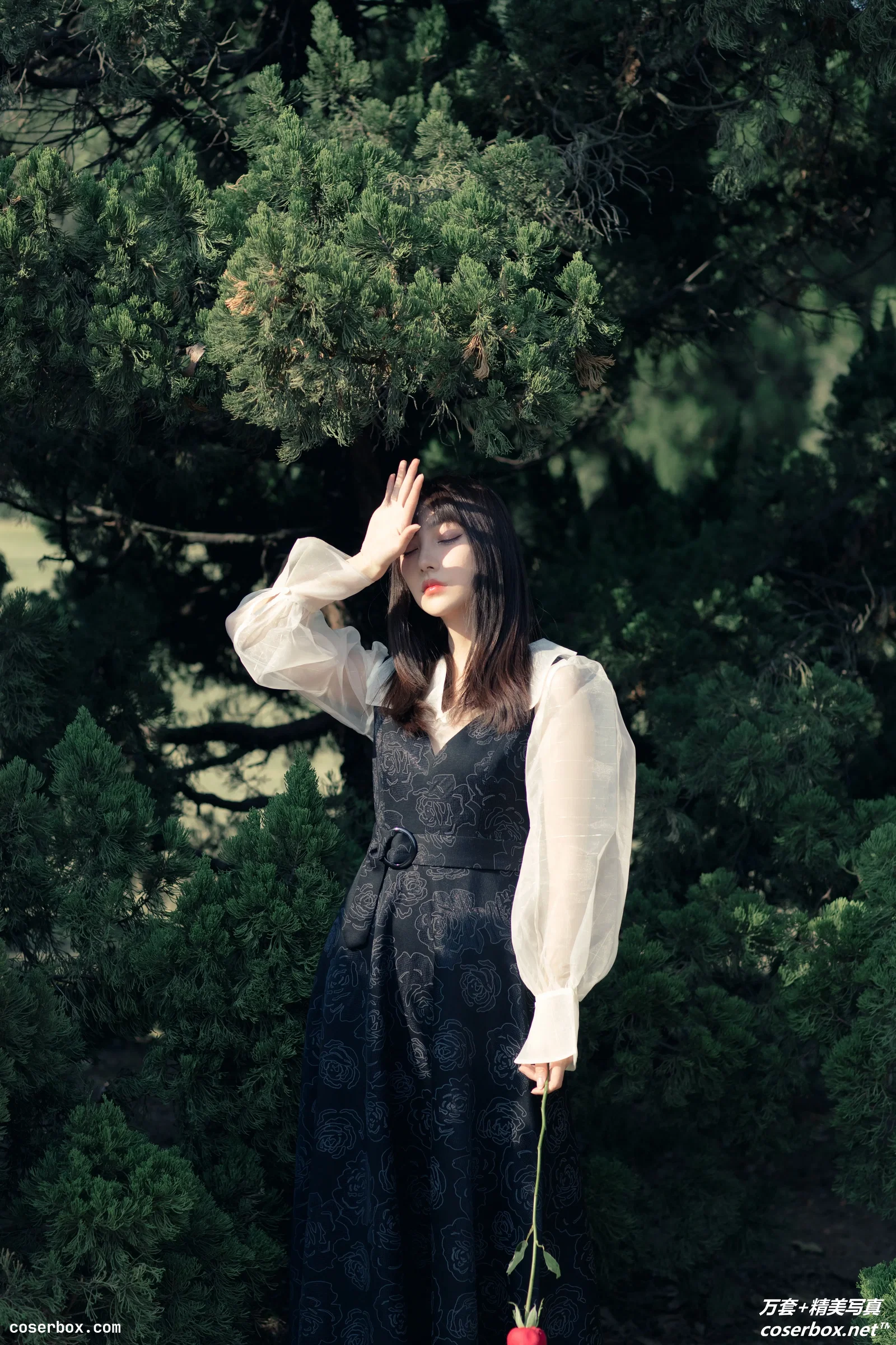 [YITUYU艺图语] 2021.03.24 NO.030 黑玫瑰 星星 [35P-539MB]