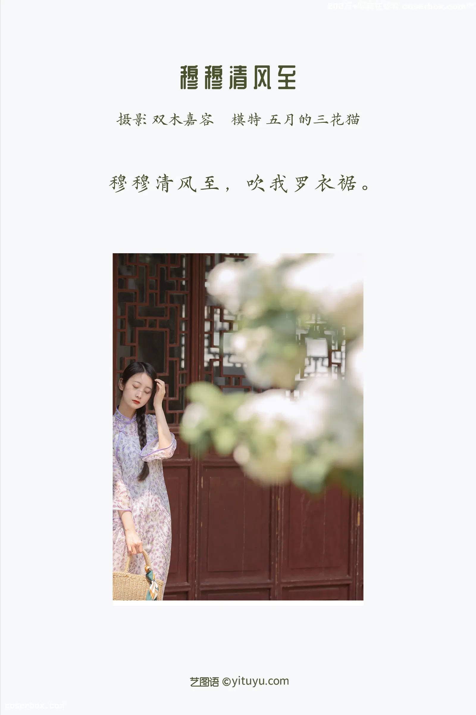 [YITUYU艺图语] 2022.03.24 NO.918 穆穆清风至 五月的三花猫 [28P-136MB]