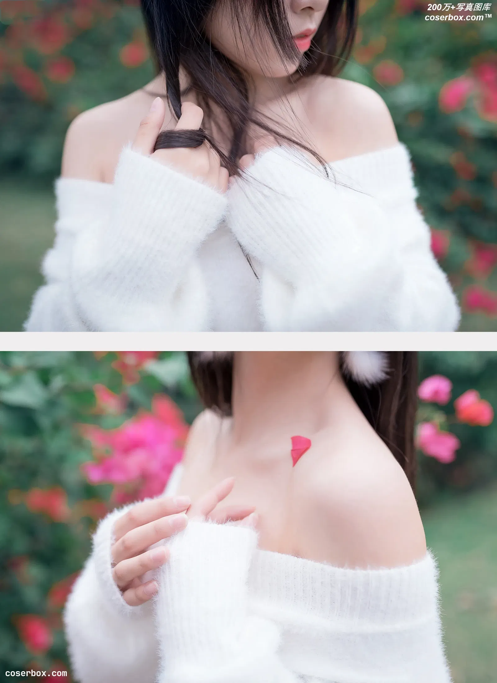 风之领域 VOL.005 香肩上的花瓣 [52P-591MB]