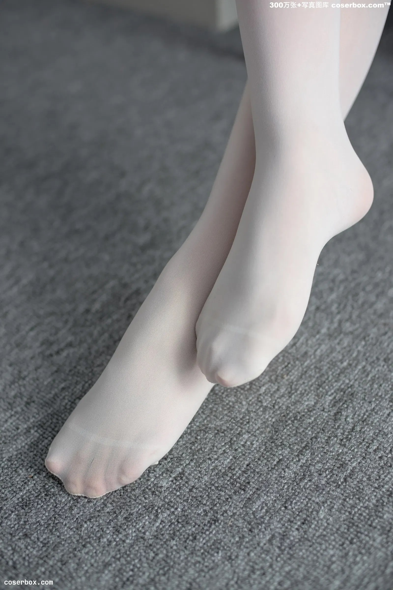 森萝财团 R15-027