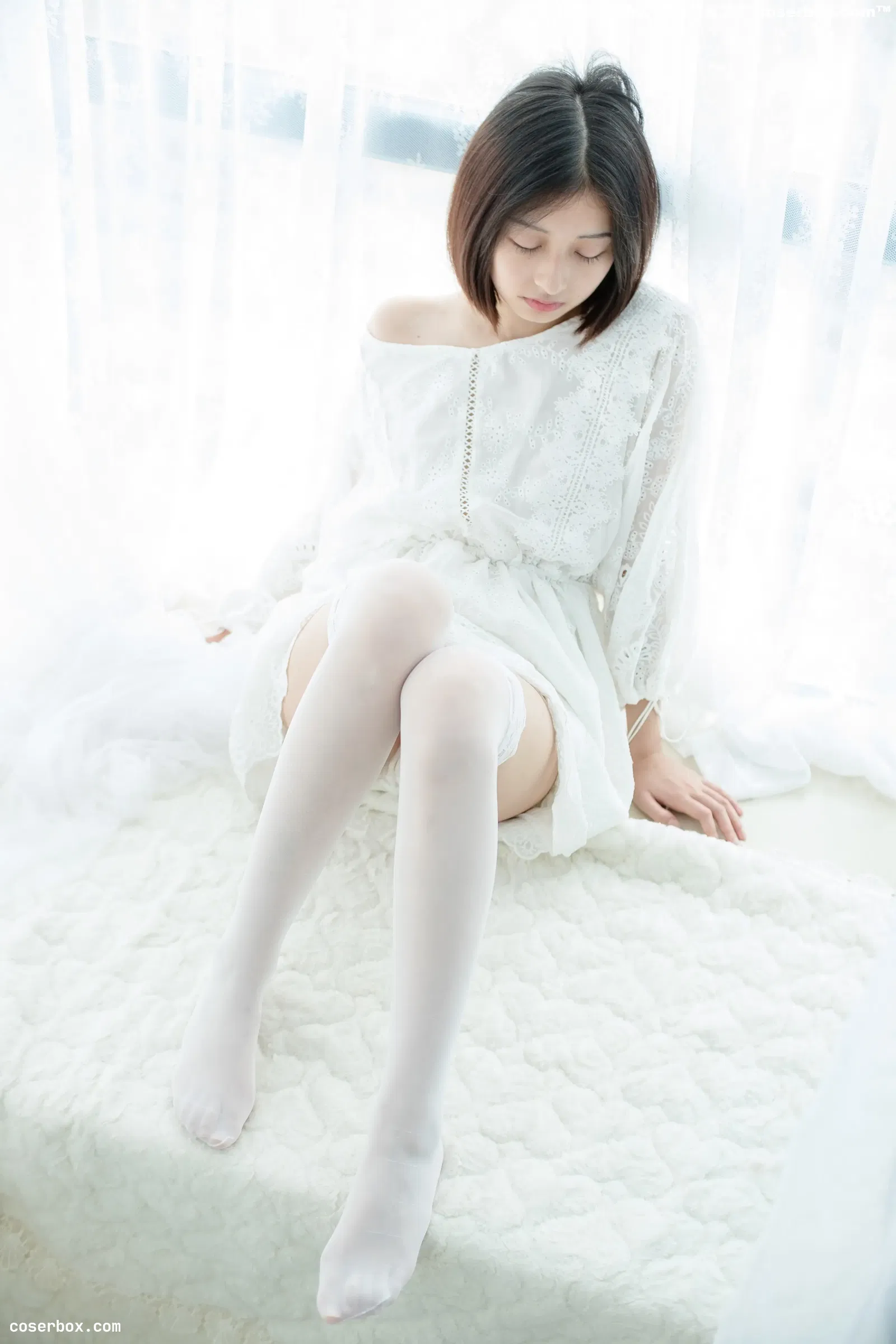 森萝财团 SSR-003