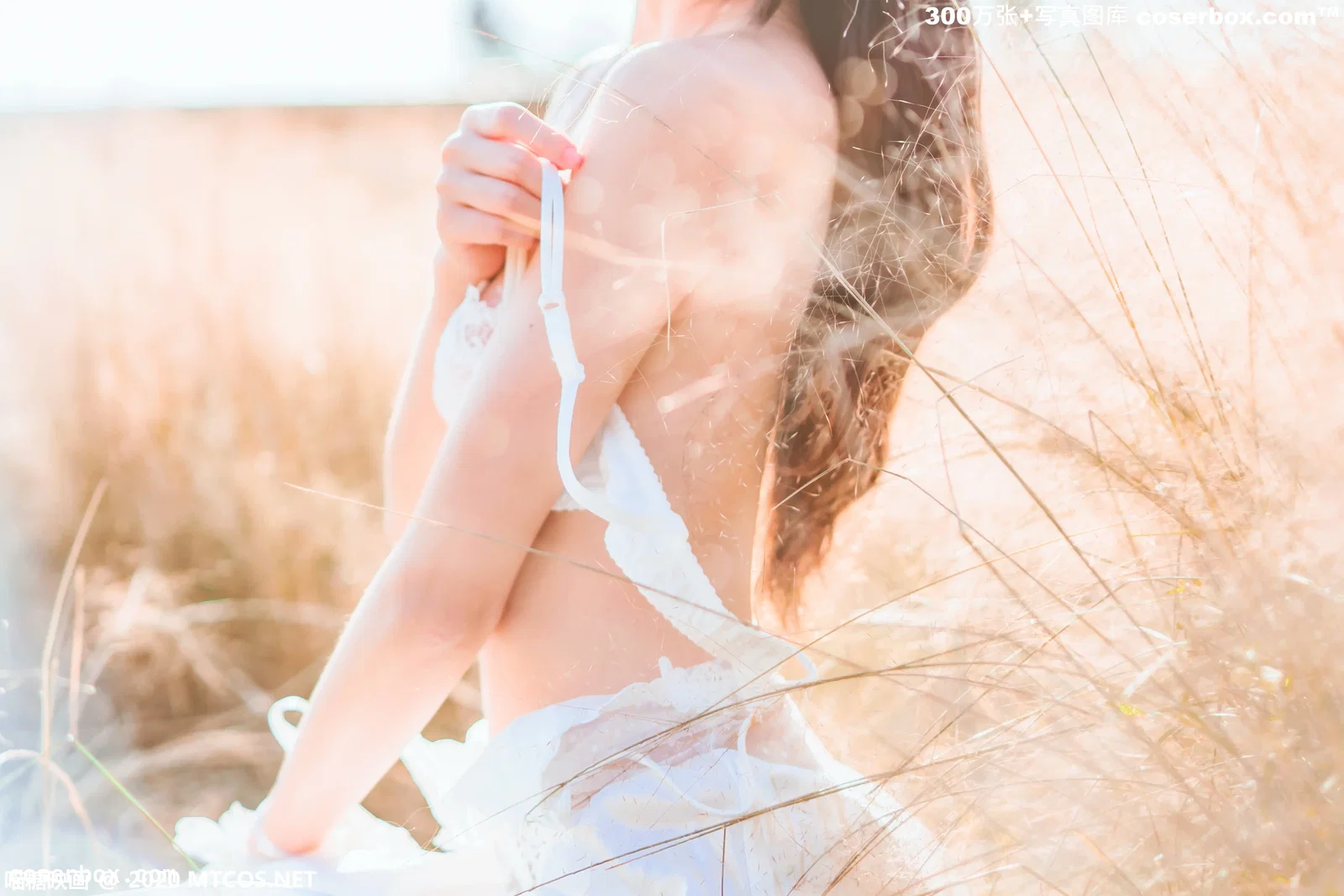 喵糖映画 VOL.224 晚秋的原野