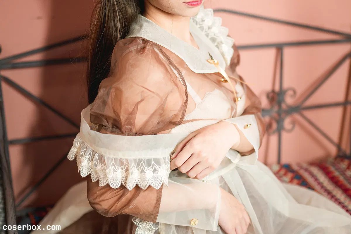 蠢沫沫 NO.042 棕透明女仆 - 2