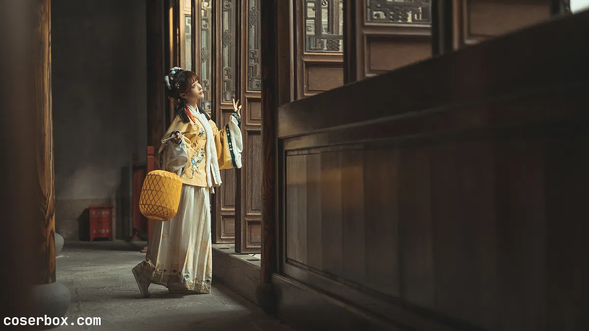 蠢沫沫 NO.146 黄汉服 - 2