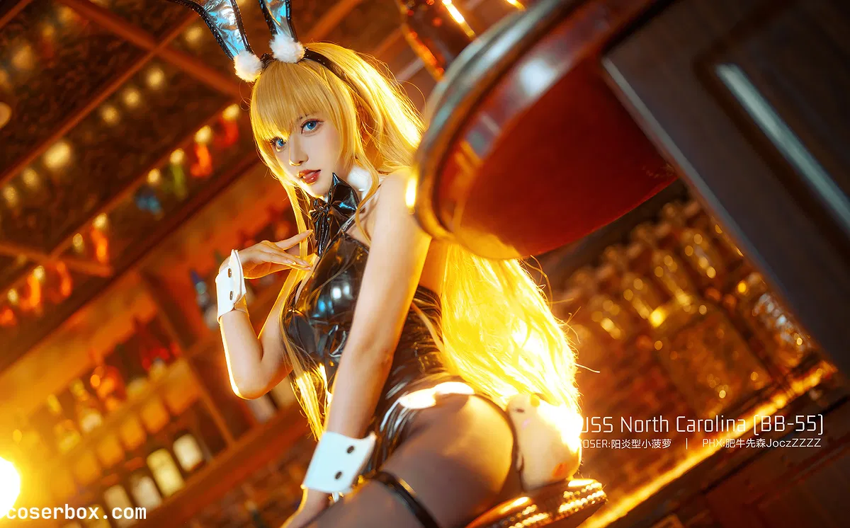 阳炎型小菠萝 NO.004 北卡罗来纳 - 1