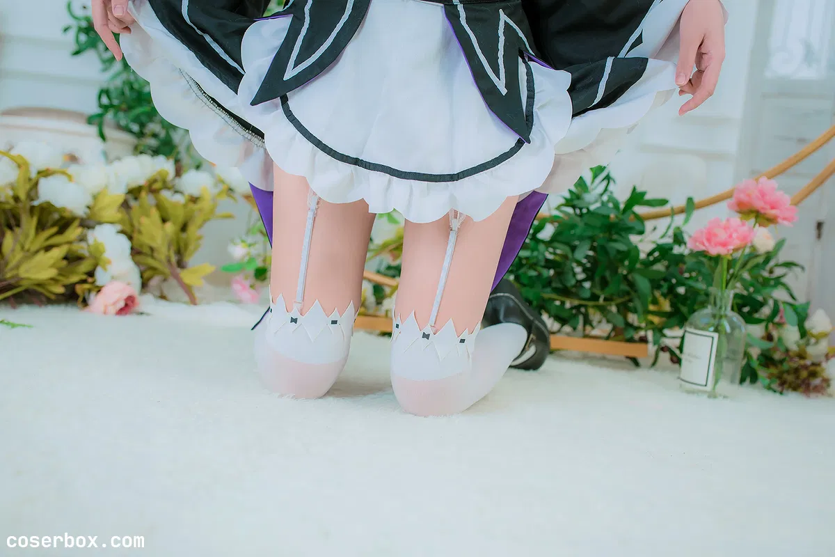 二佐Nisa NO.039 蕾姆女仆 - 1