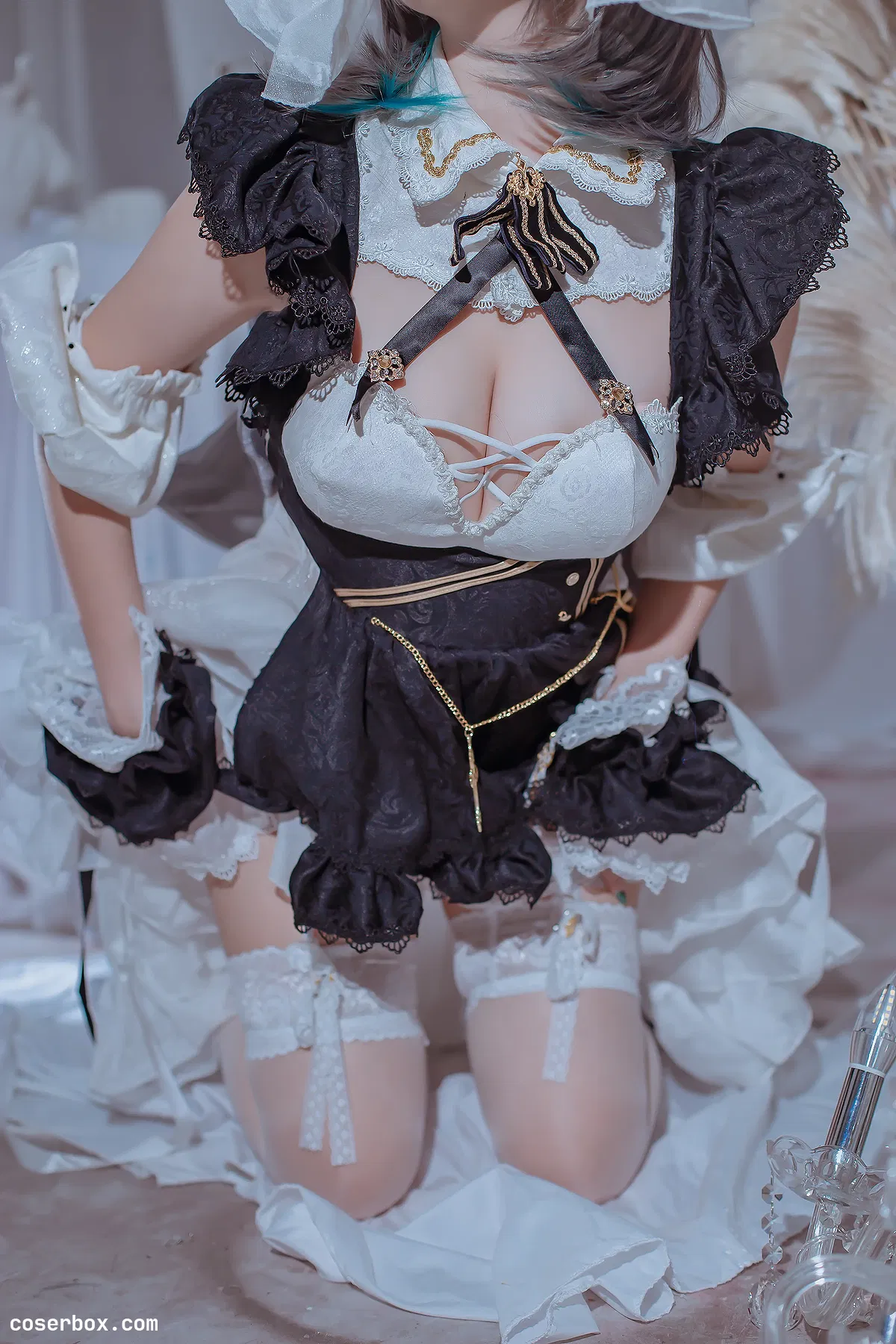 二佐Nisa NO.103 柴郡 - 1