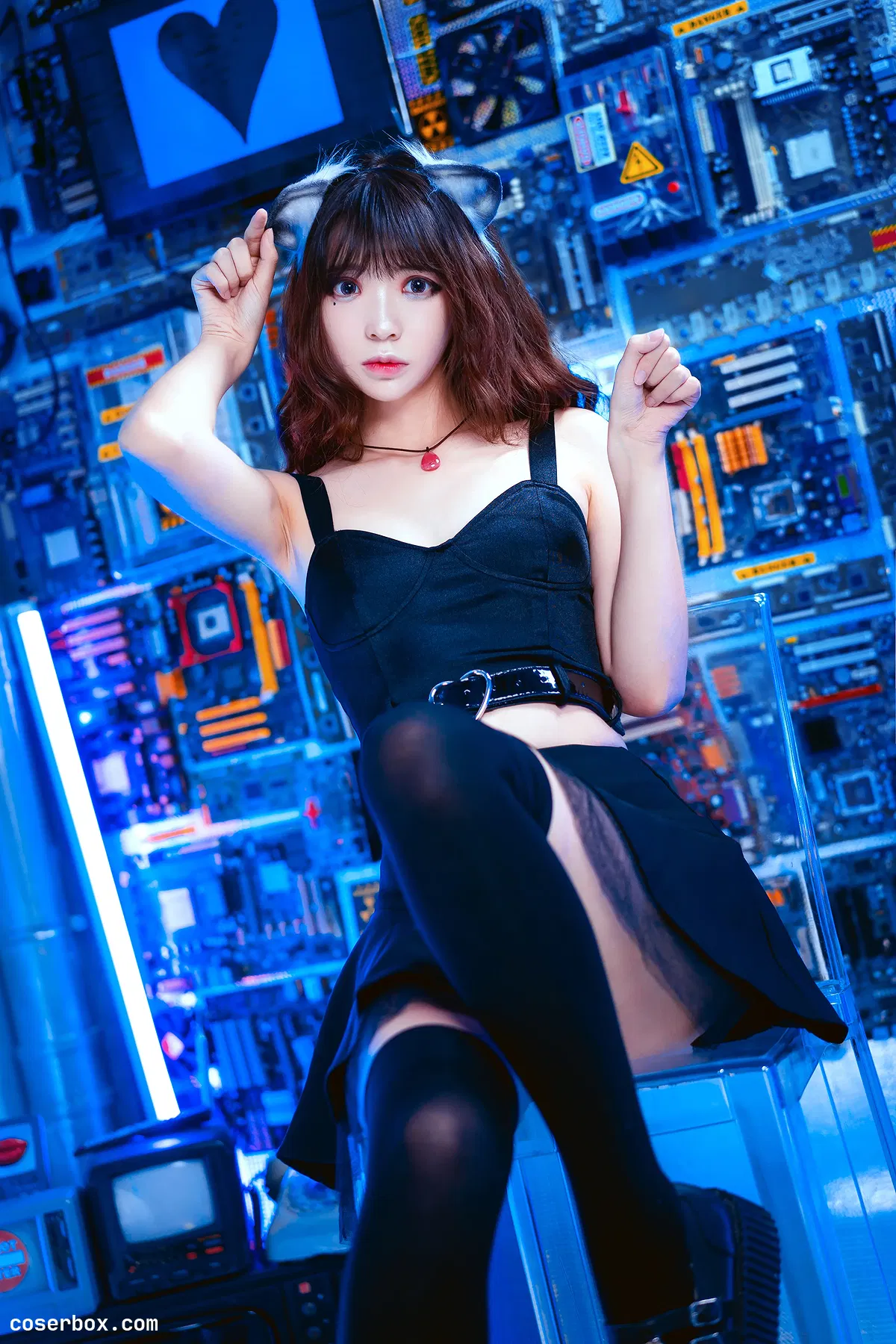 疯猫SS NO.030 幻象蓝猫 - 2