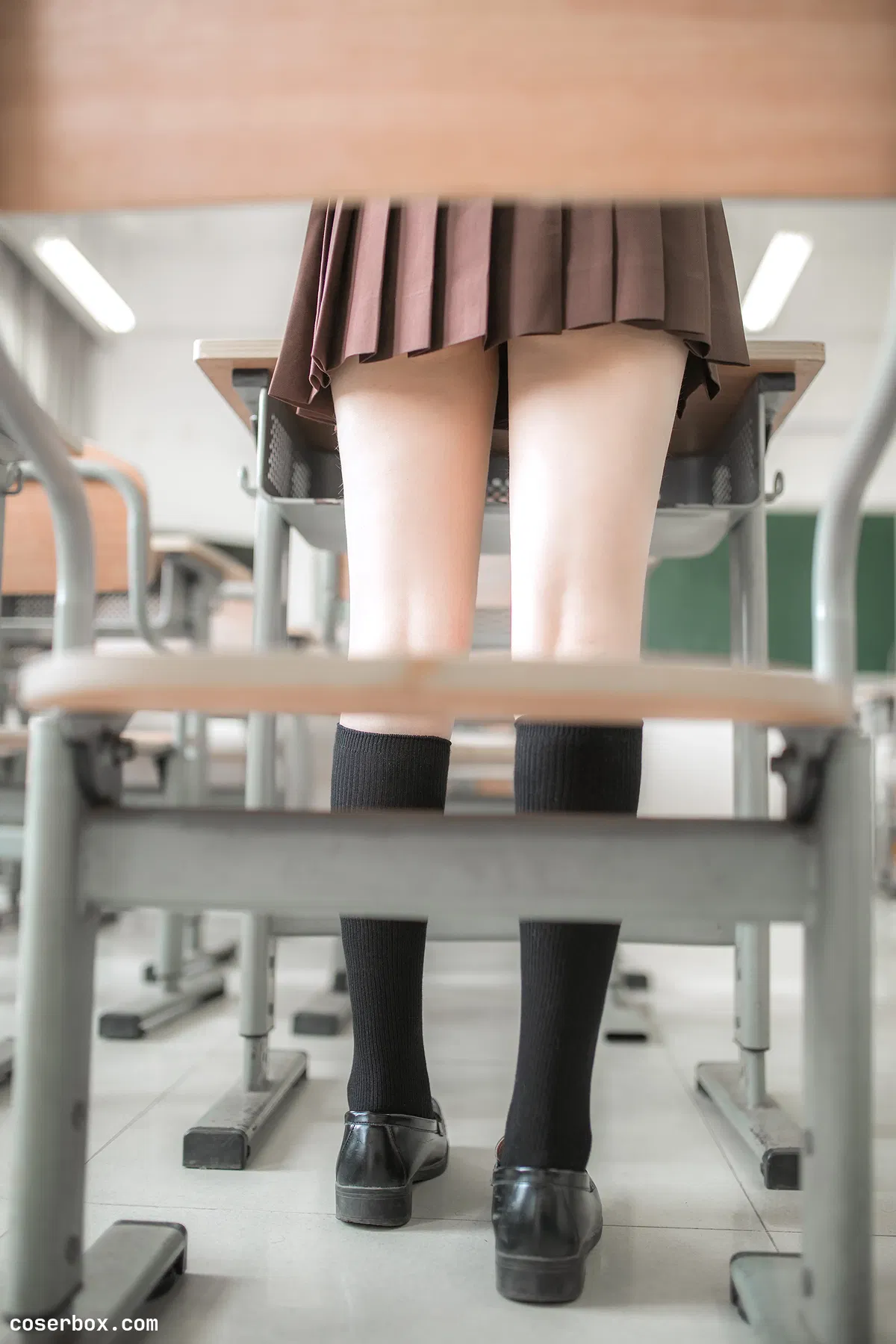 疯猫SS NO.025 棕裙 - 2