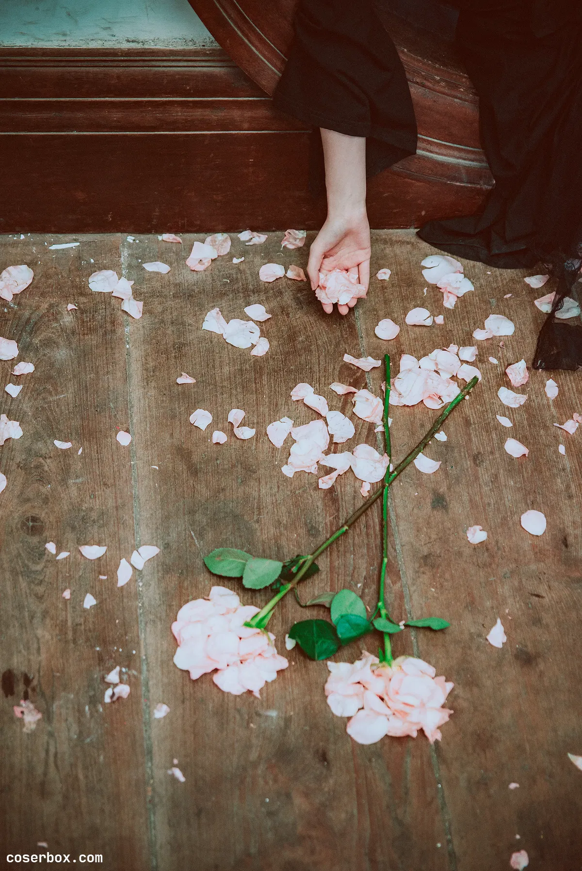 疯猫SS NO.093 沙面 - 1