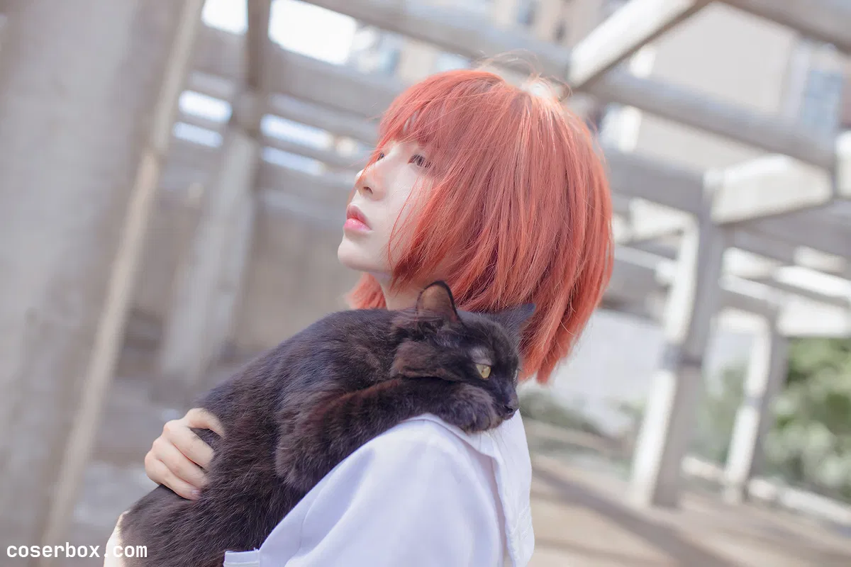 疯猫SS NO.056 和猫 - 1