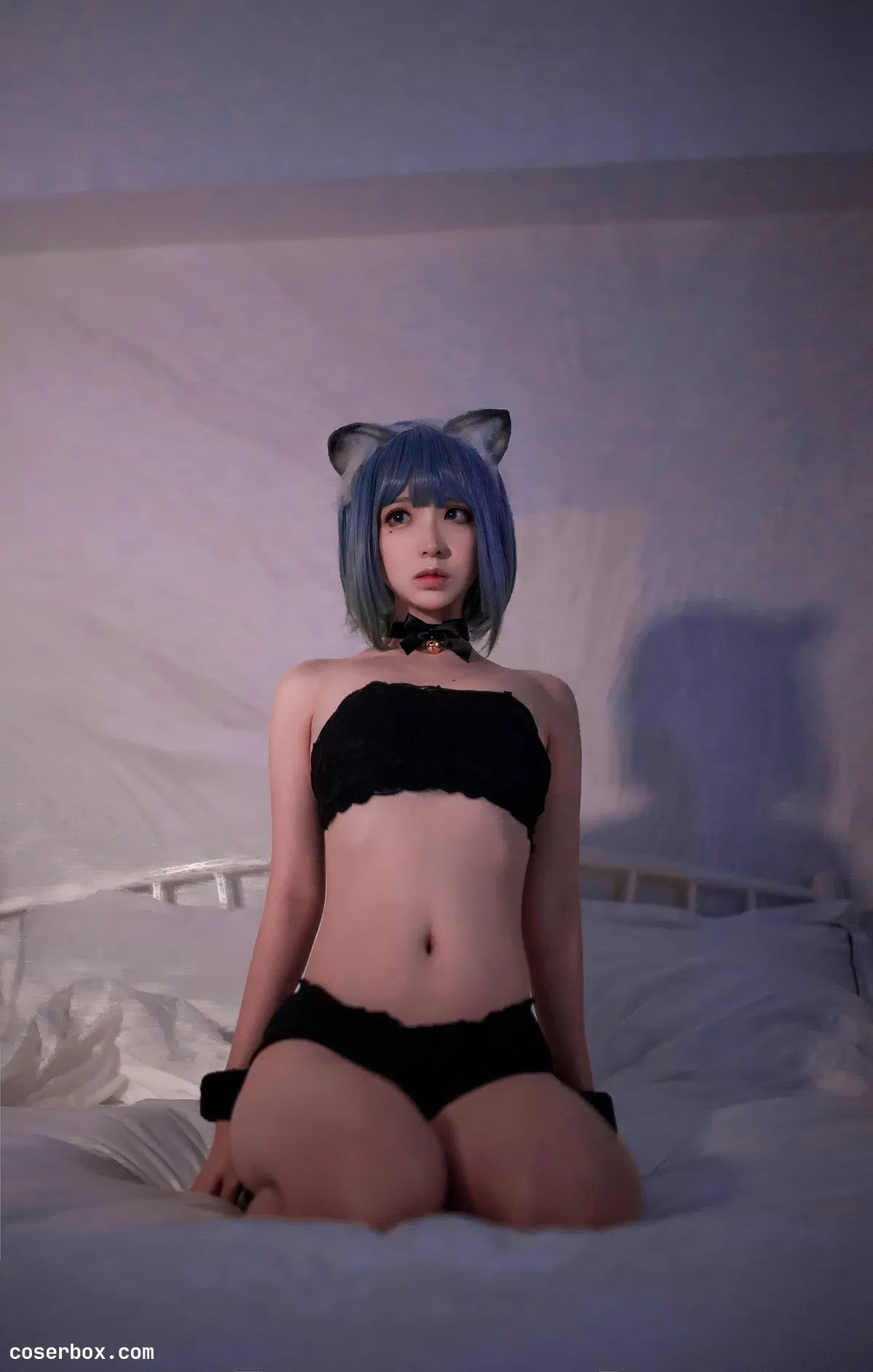 疯猫SS NO.106 黑猫 - 1