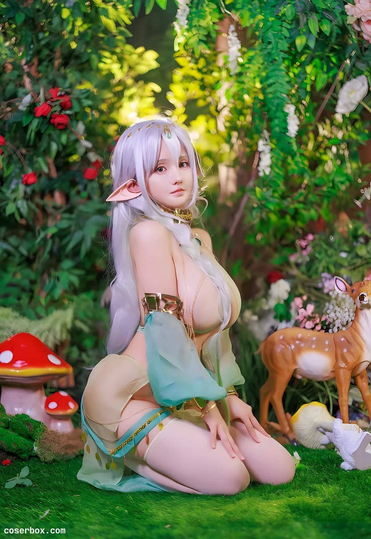 古阿扎 NO.001 大慈树王 - 2