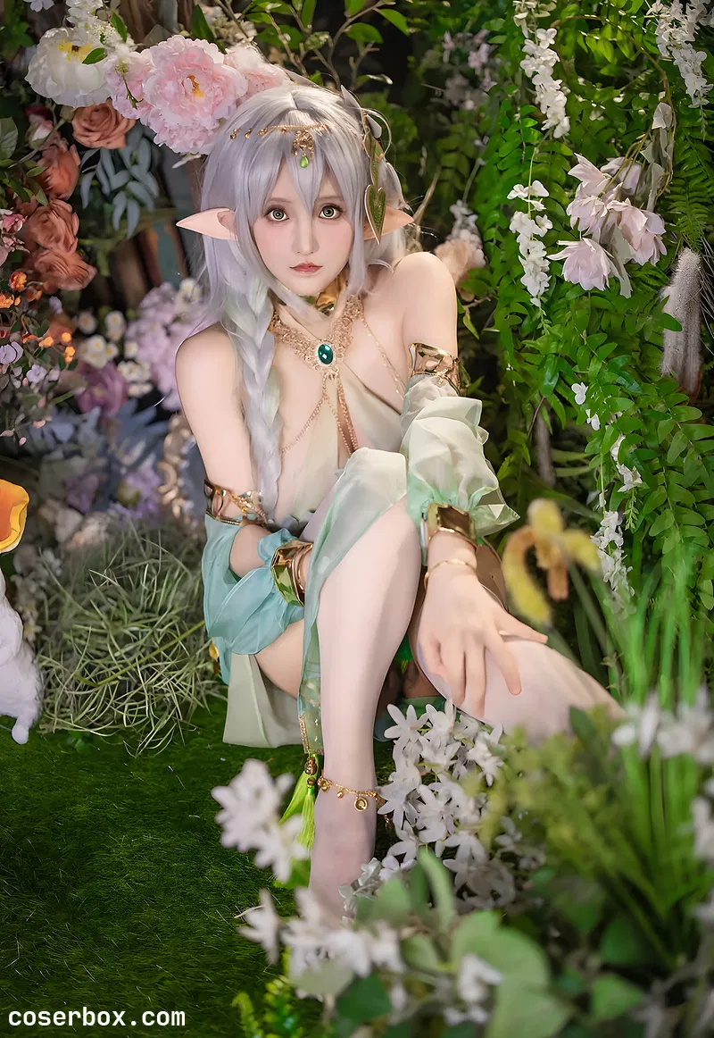 古阿扎 NO.001 大慈树王