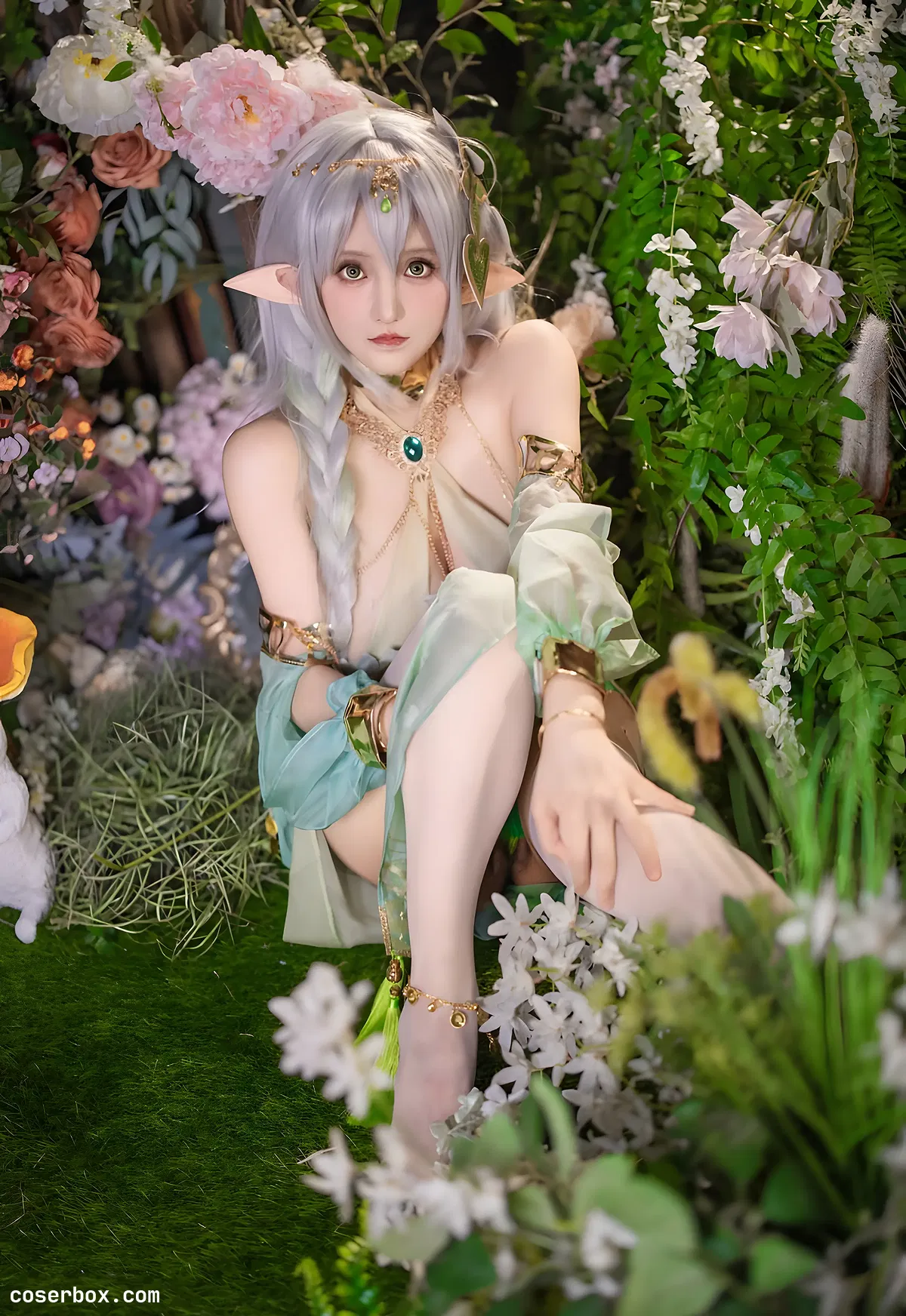 古阿扎 NO.001 大慈树王 - 1