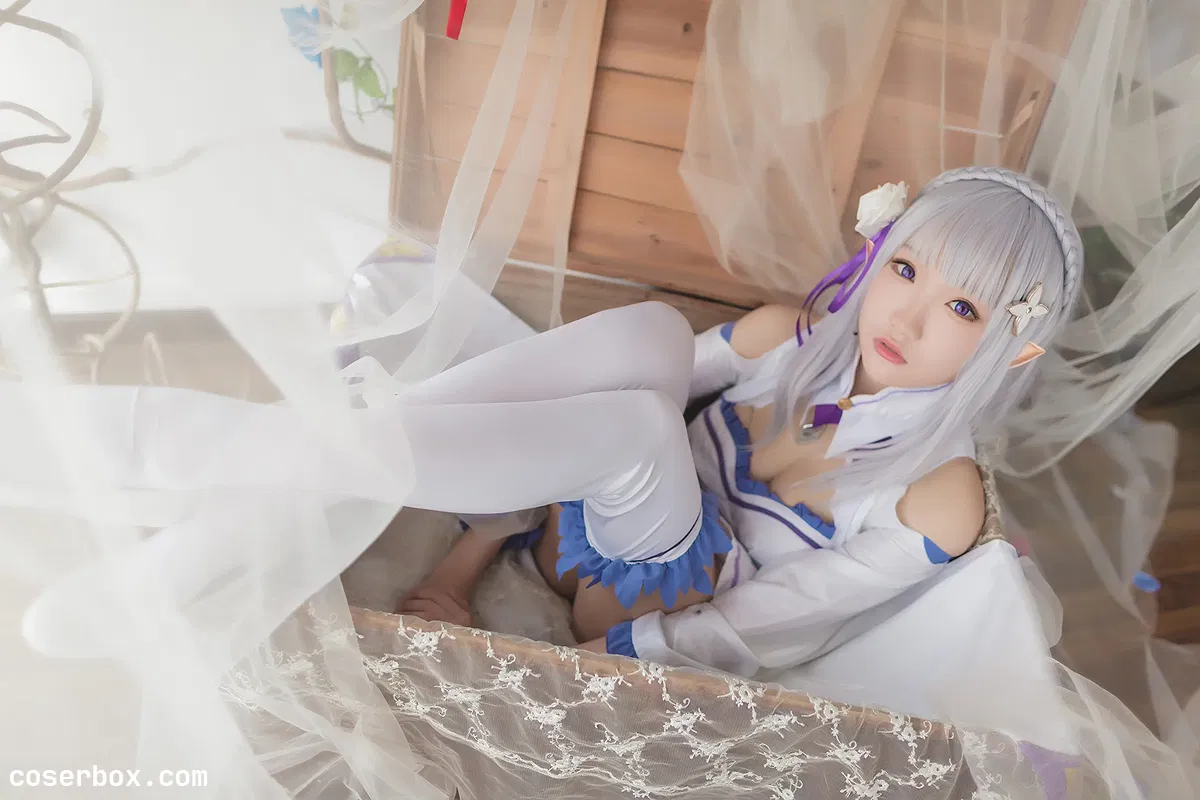 瓜希酱 NO.008 艾米莉亚 - 2