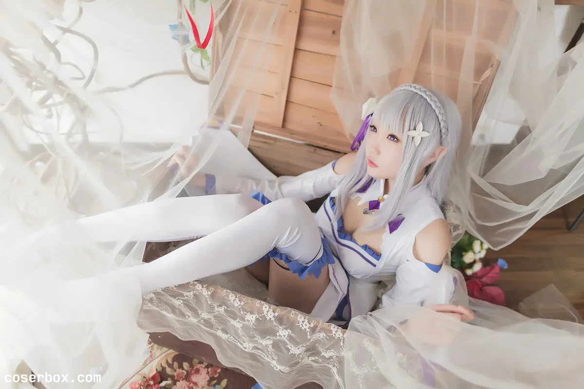 瓜希酱 NO.008 艾米莉亚 - 1