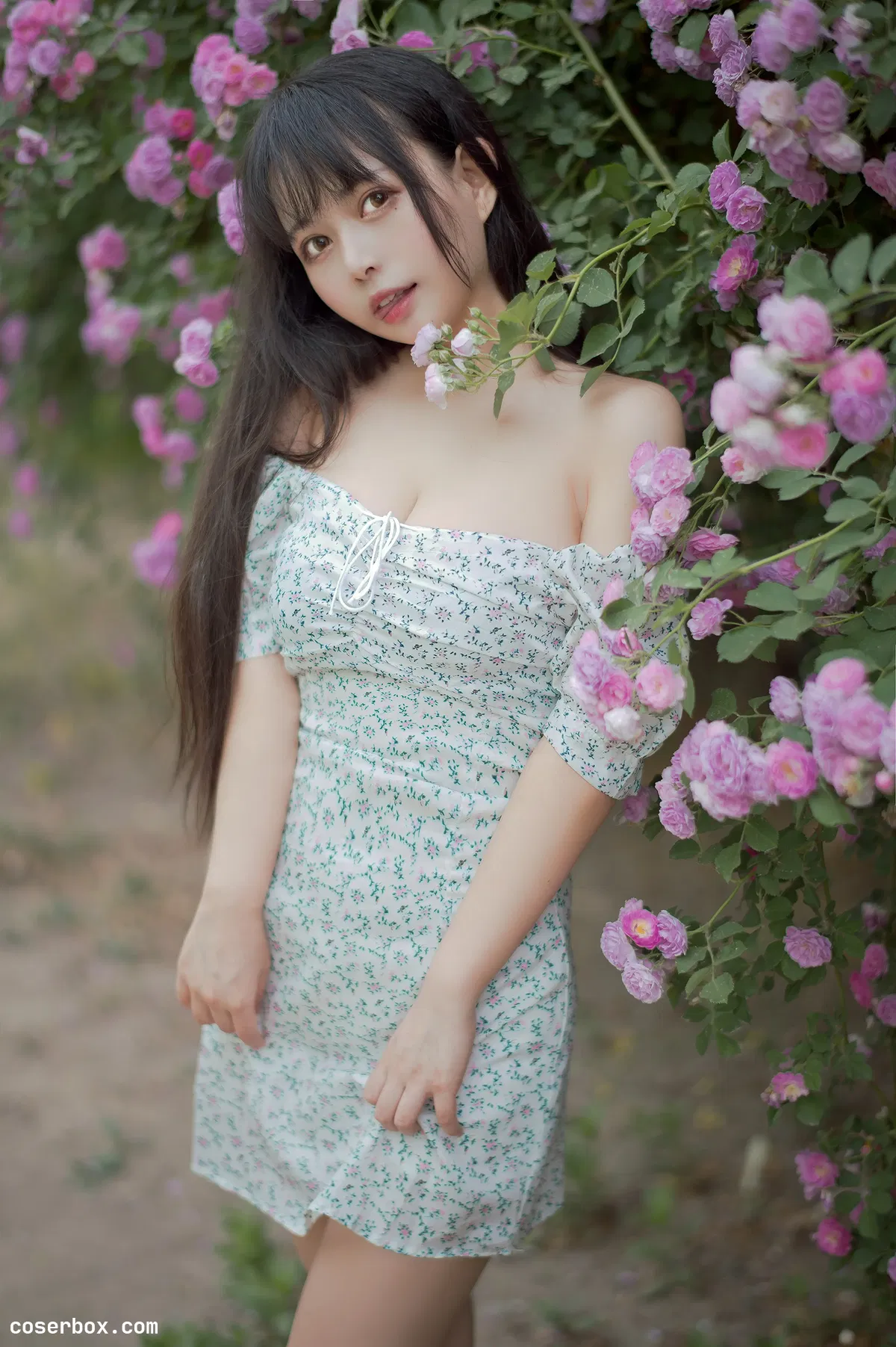 黑猫猫OvO NO.023 蔷薇2 - 1