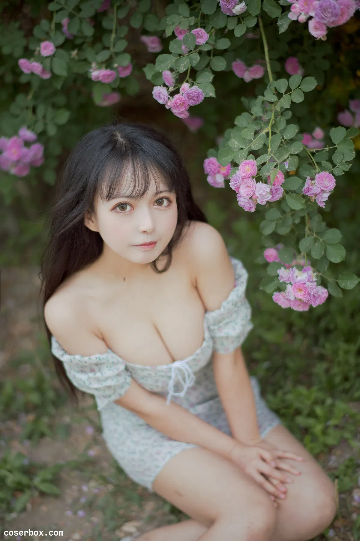 黑猫猫OvO NO.023 蔷薇2 - 2