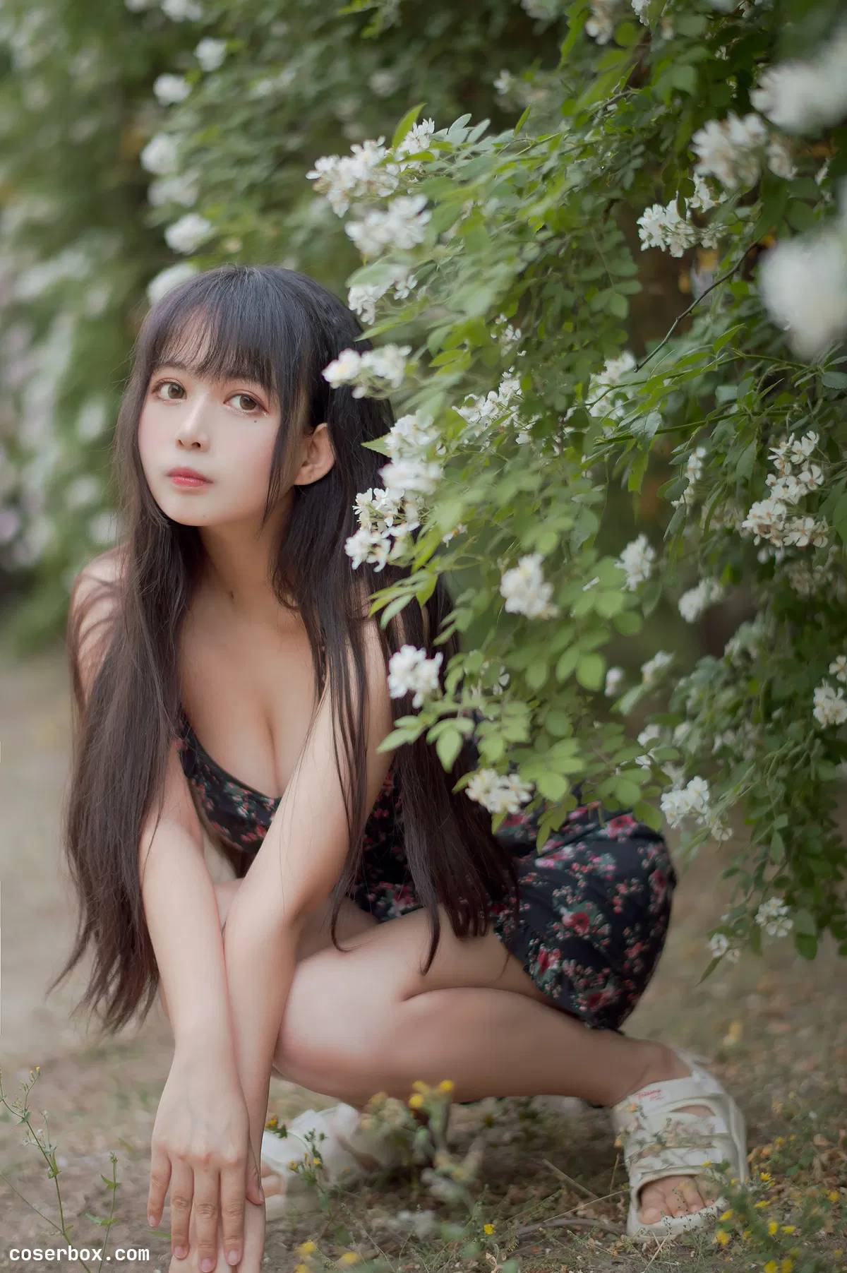 黑猫猫OvO NO.022 蔷薇1 - 1