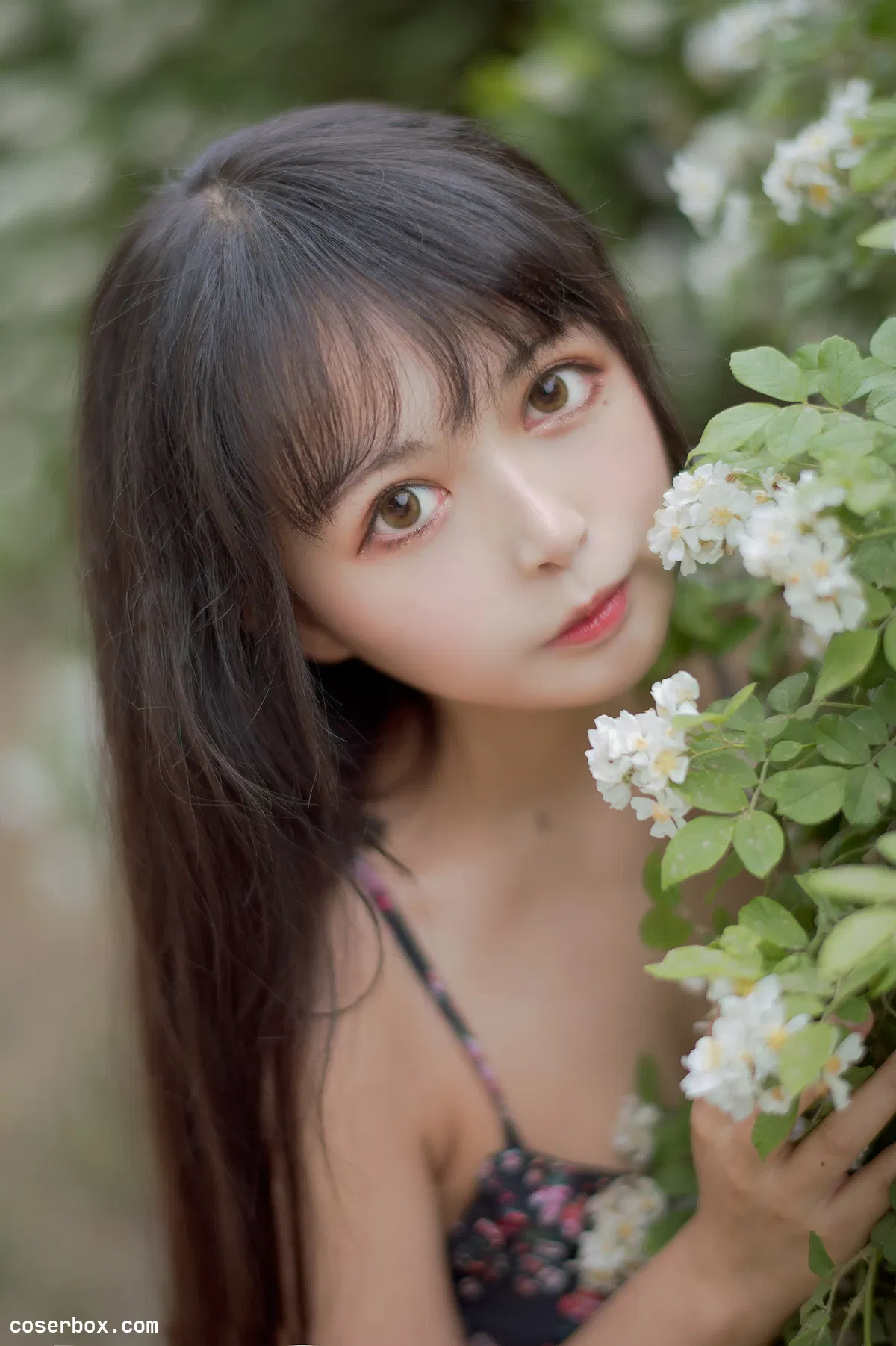 黑猫猫OvO NO.022 蔷薇1 - 2