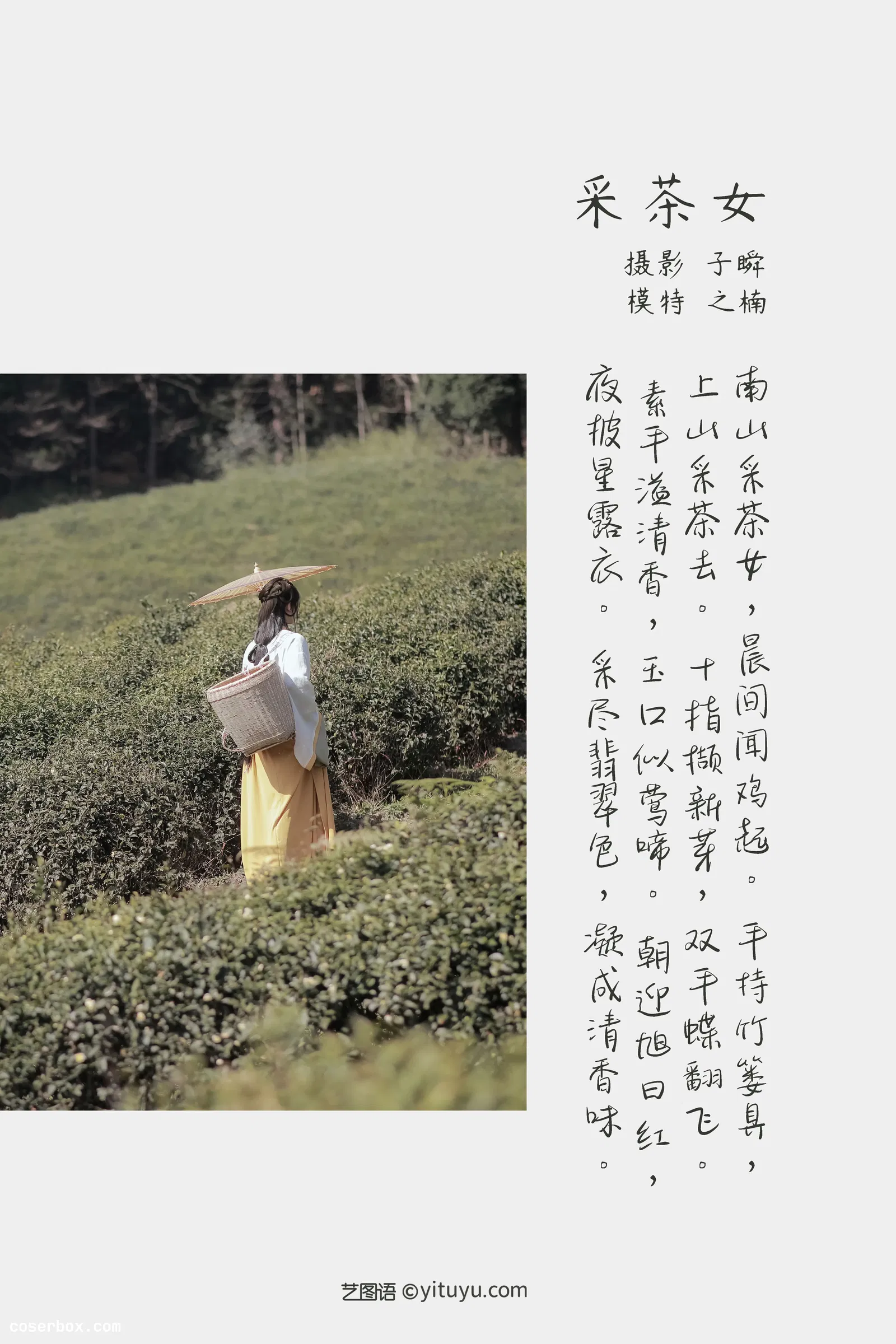 [YITUYU艺图语] 2022.05.07 NO.1204 采茶女 之楠楠楠 [21P-329MB]