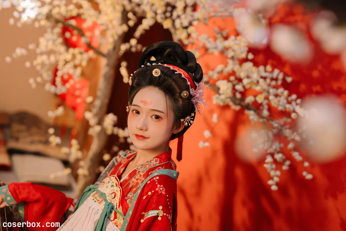 兔子Zzz不吃胡萝卜 NO.042 不负梦华 - 1