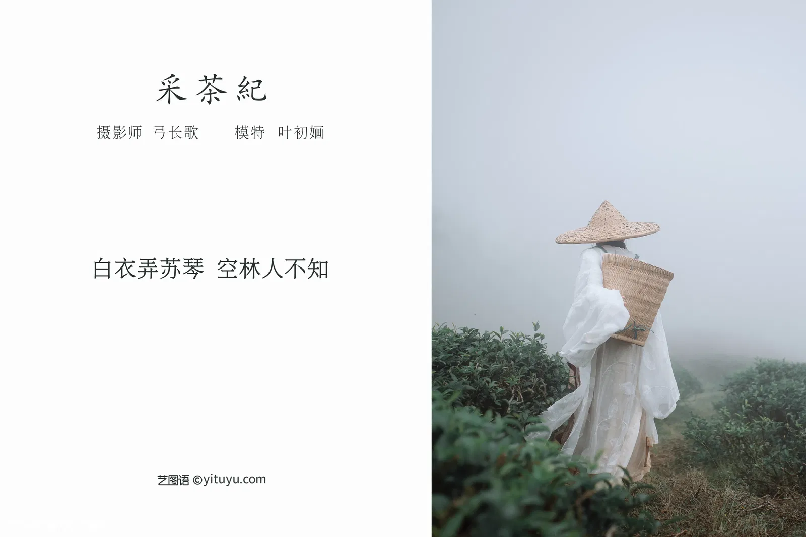 [YITUYU艺图语] 2022.04.12 NO.1010 采茶纪 叶初婳 [22P-236MB]