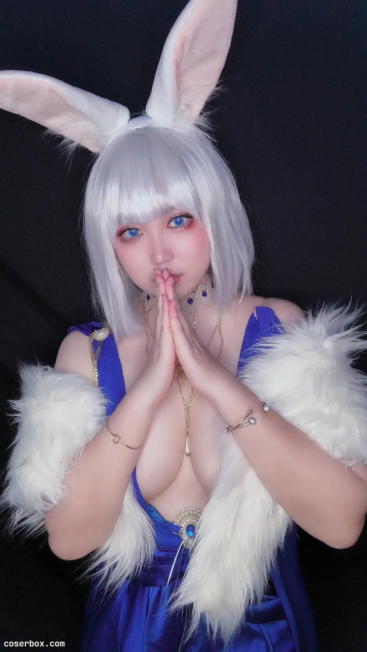 椒妮佐仁 NO.002 加贺 - 2