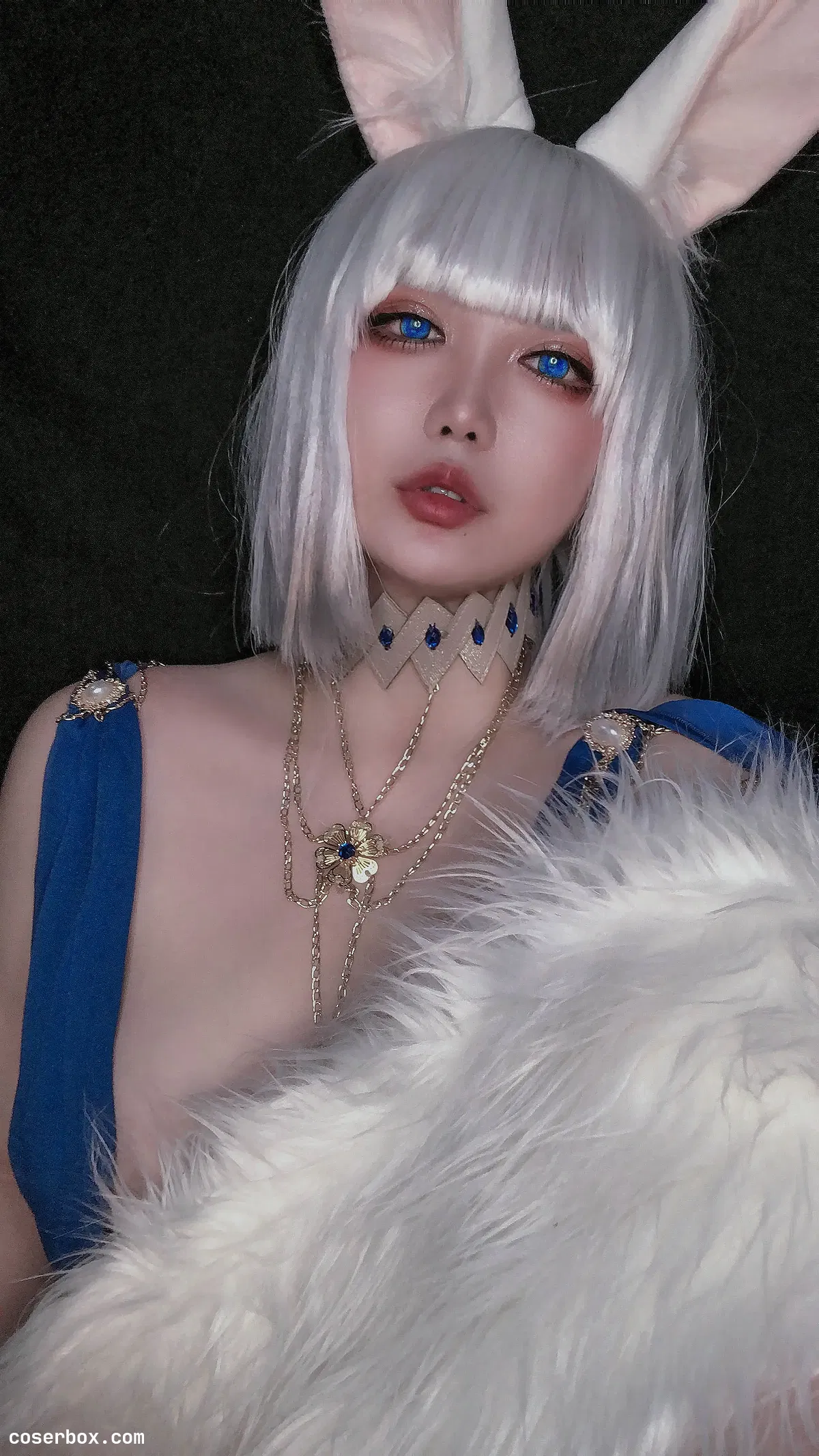 椒妮佐仁 NO.002 加贺 - 1