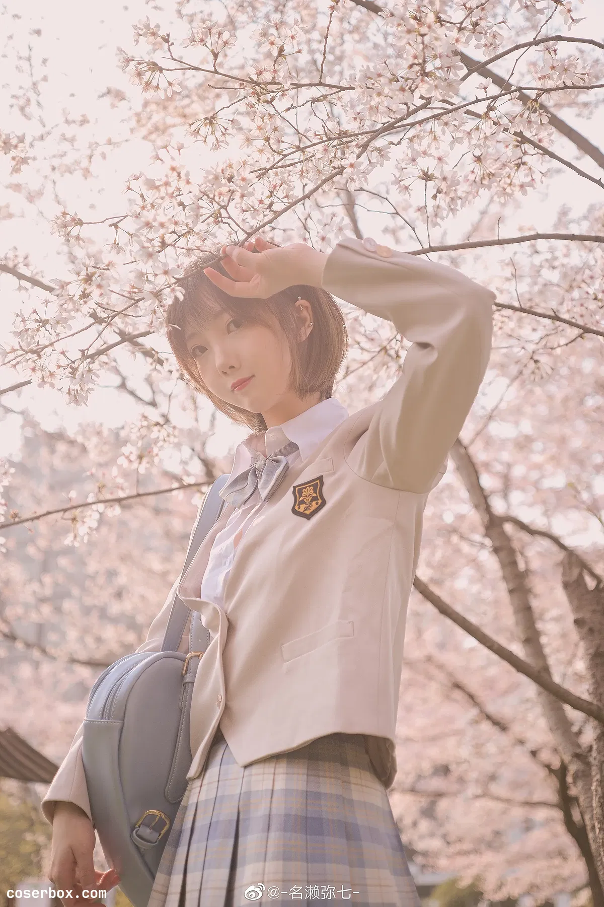 名濑弥七 NO.003 樱花 - 1