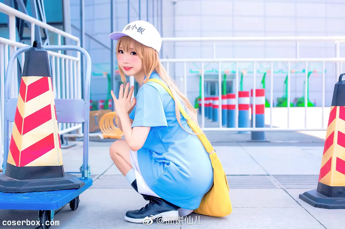 面饼仙儿 NO.106 血小板 - 1