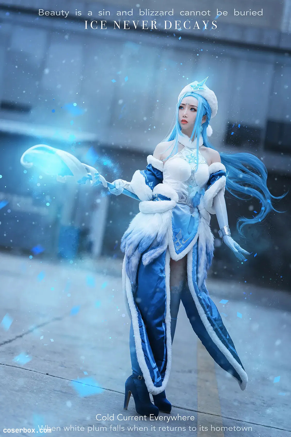 面饼仙儿 NO.096 王昭君 - 2