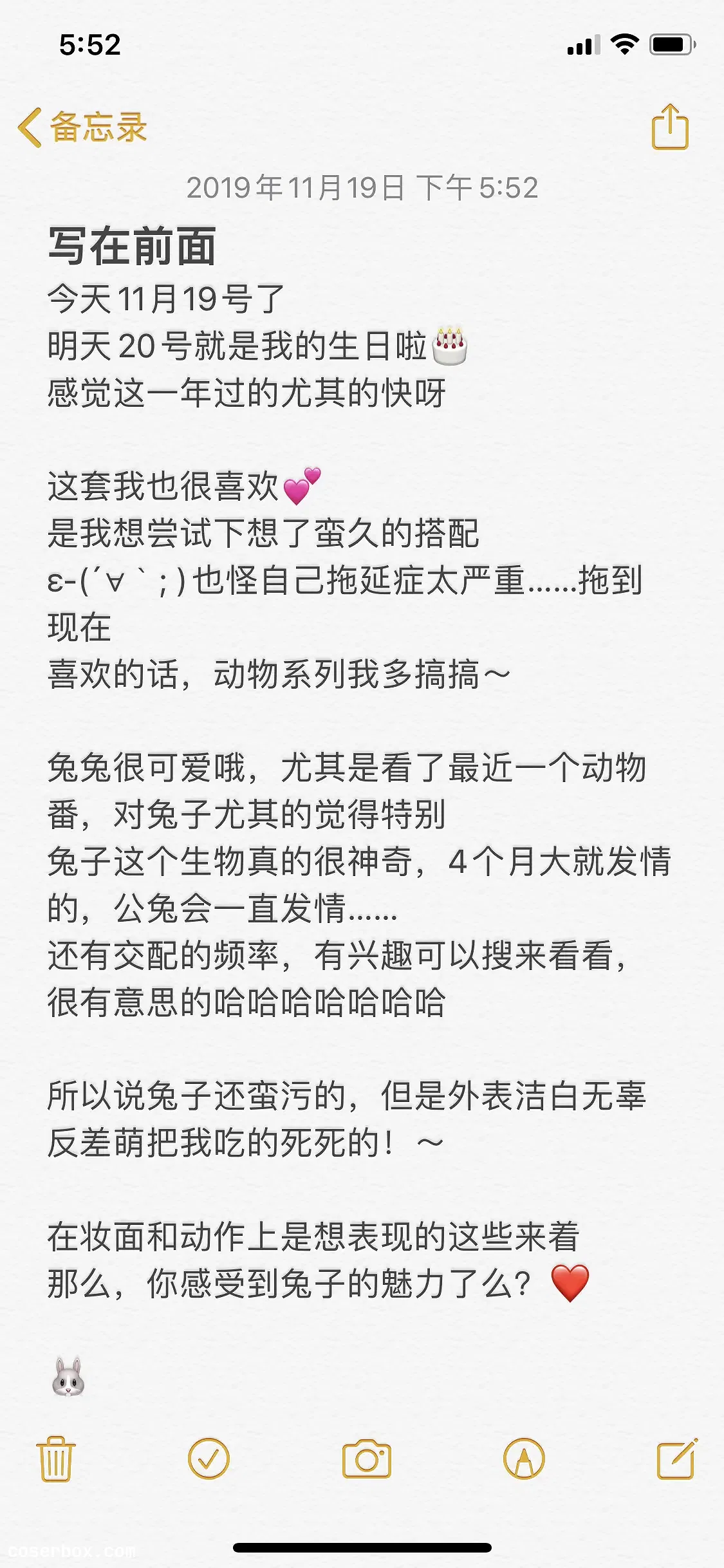 皮皮奶可可爱了 NO.025 披萨白兔 - 1